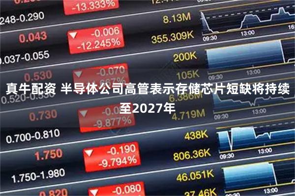 真牛配资 半导体公司高管表示存储芯片短缺将持续至2027年